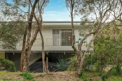 Image de The Canopy House, Rye: effortless coastal retreat nestled in the treetops.