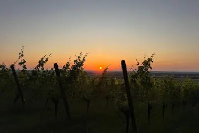 Image de Apartment Panorama 180 Grad