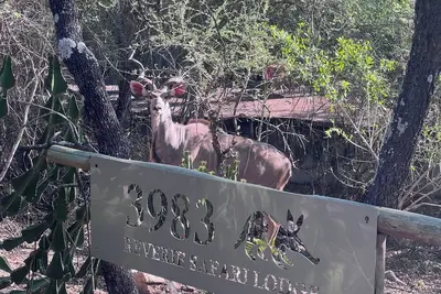 Image de Reverie Safari Lodge: Exclusive private lodge in Marloth Park
