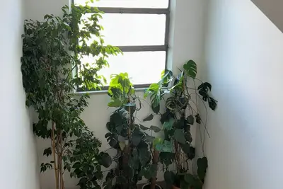 Image de Appartement moderne et lumineux à Rome Italie pour vacances et week-end