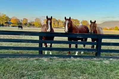 Image de Waterfront cottage on the Sequatchie River at Ketners Mill -2