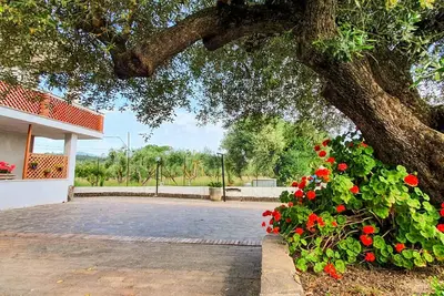 Image de Magnifique appartement de 2 chambres à Casal Velino