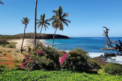Image de New! ! ! Molokai Lei Over