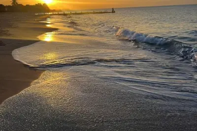 Image de Walk to the Beach! Huge Dining Table - Botanic