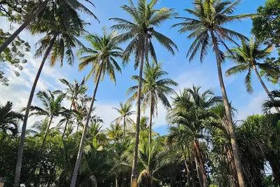 Image de Welcome to Agua Linda. Charming cottage with Ac in La Libertad