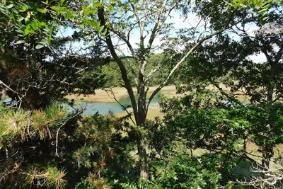 Private, marsh view, And close to town! (Cs0051)