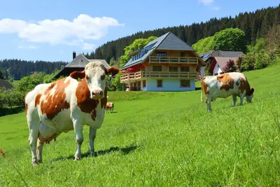 Image de Appartement 'Holzfäller' avec terrasse privée, jardin commun et Wi-Fi à Lenzkirch