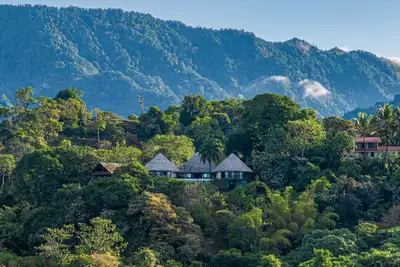 Image de Authentic Jungle & Ocean Escape by Pura Villas