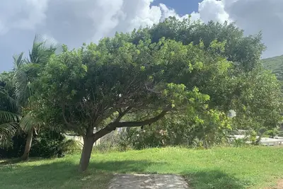 Image de Villa Spinoza: Lux Pool, Garden, Retreat & Beach