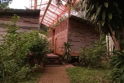 Image de Close to Leticia and in the middle of the jungle, Palmayacu, the best Natural Concert