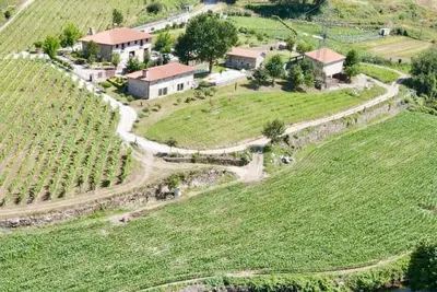 Image de Quinta de Carvalhal - Vineyard House