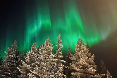 Image de Hogby historical cabin in Norway