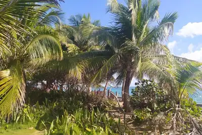 Image de The Condado Terrace Condo