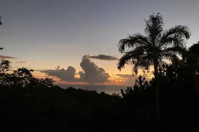 Image de Appartement vue mer - Hauteurs du Carbet - Kaz des Alizés\nAu frais - chats admis