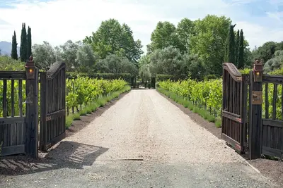 Image de La Buona Stella Napa Valley