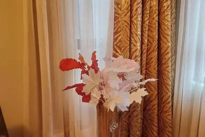 Image de Cozy Livin’: Your Peaceful Bachelor Hideaway