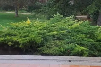 Image de Charmant chalet-maison en pleine Champagne