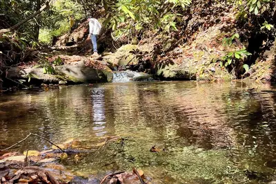 Image de StoneSpring Creek Guest House