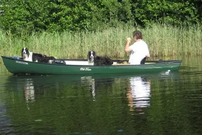 Image de New Cabin with Canoe at Lake Åsnen National Park Wifi ÄLGHAGEN 3Bedrooms Pets Ok
