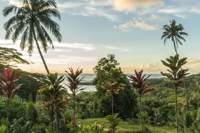 Image de Raiatea- Fare Cascades Ohana