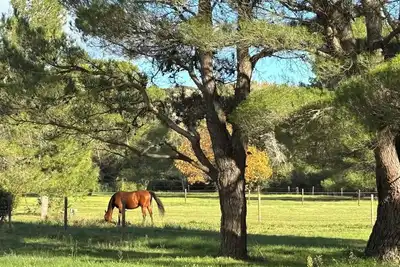 Image de Gîte Alpilles 63m², 4 pers. climatisé, Piscine, Mas de la Meunerie à Fontvieille