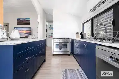 Image de Panacea Rising