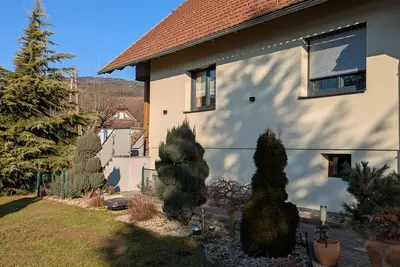 Image de Vacation apartment Anna am Stubenbergsee - Apartment/Fewo