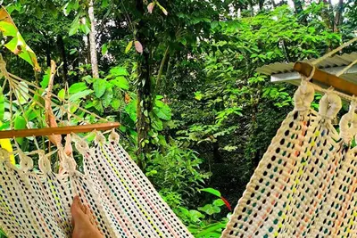 Image de Sloth Villa