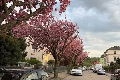 Image de Vacation home for 7 guests with 140m² in Dresden (295400)