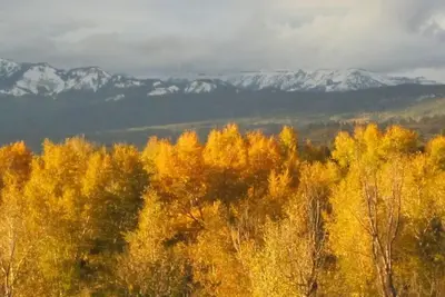 Image de Spectacular Rocky Mountain Views + Stream Hiking at this Custom Built Getaway