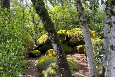 Image de Two Bedroom Cottage Surrounded By A Garden, Stone Walls and Vineyard Views