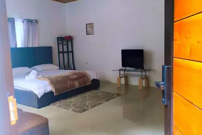 Monstera Forest Lodge #2