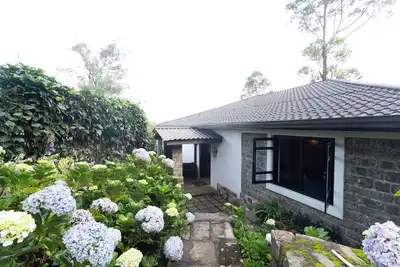 Image de Cozy 3br Hill Country Cottage - Fireplace & Tea Garden Views