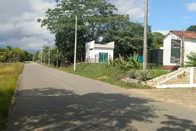 Image de Loft Nimbus — Refugio Mágico con Terraza y Árbol Gigante