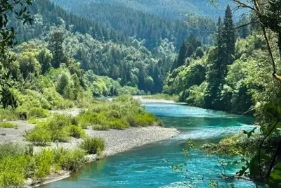 Image de Serein by the Sea - Find relaxation where the ocean meets the redwoods!