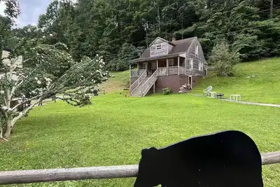 Image de Climbing Bear - Black Bear Lodge Wv