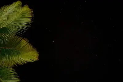 Image de Despierta Frente al Mar: Charming House in Tolu