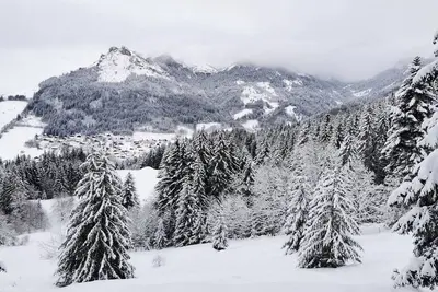 Image de Studio aux pieds des pistes