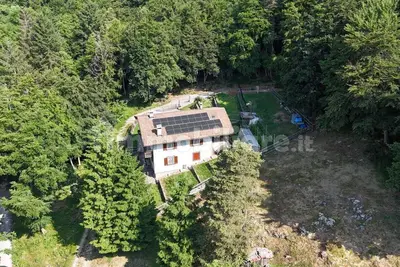 Image de The House in the Woods, cozy mountain home with furry friends allowed!