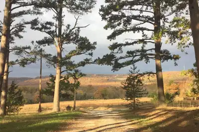 Image de Ozark Pines: Ozarks Country Getaway Near Branson & the Buffalo River