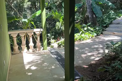 Image de Pickleball Jungle Parrot