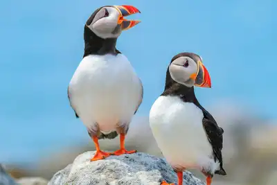 Image de Sunset Ridge