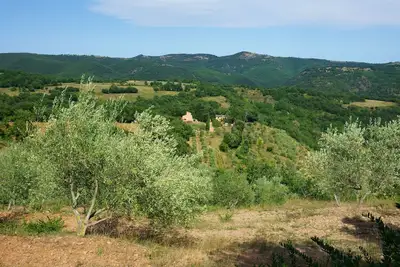 Image de Gite en pleine nature sur oliveraie et élevage de chevaux