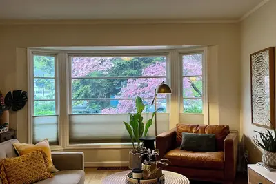 Image de South Taber Charmer