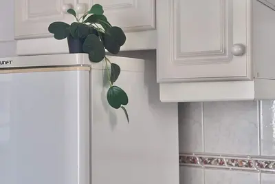 Image de Terrace of Peace view over the Ocean