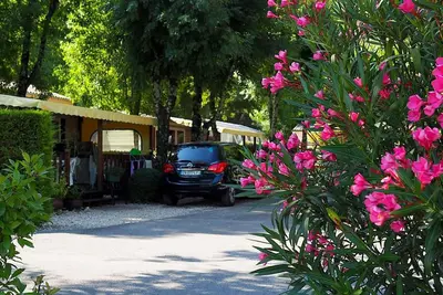 Image de Mobil-home 32m² à Salavas avec Terrasse, pour 5 personnes