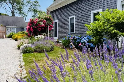 Image de Beautiful antique Greek Revival home located on the Chatham Loop