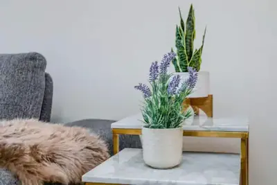 Image de Nice Cozy & Unique Place • Free Parking