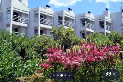 Image de Cozy 1-bed Christie Lodge condo with enchanting Avon Co in heart of Vail Valley