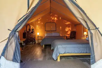 Image de Safari Glamping Tent | Forest Retreat & Hot Tubs!